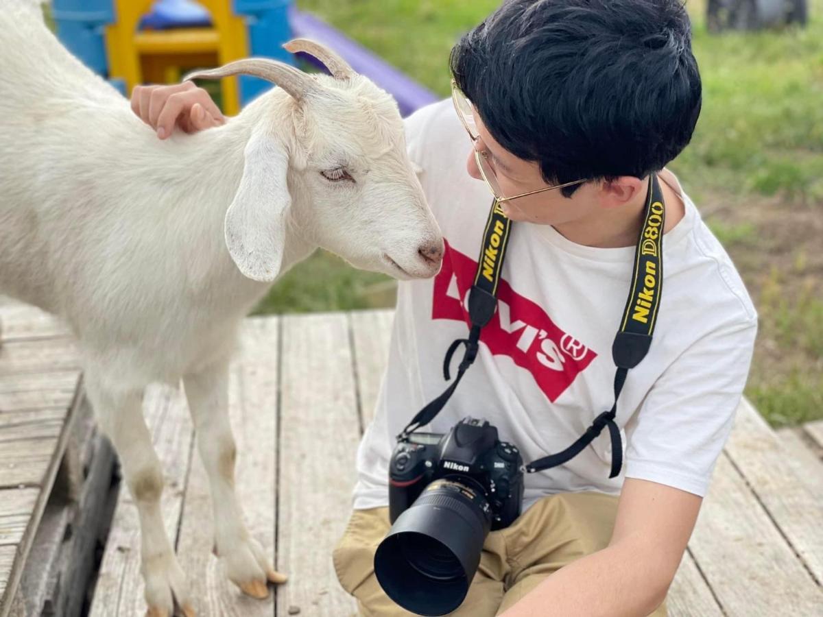 מלון יאס Glenview Alpaca Farm מראה חיצוני תמונה