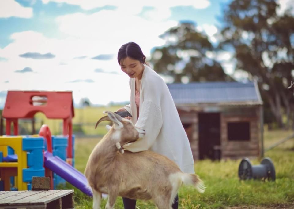 מלון יאס Glenview Alpaca Farm מראה חיצוני תמונה