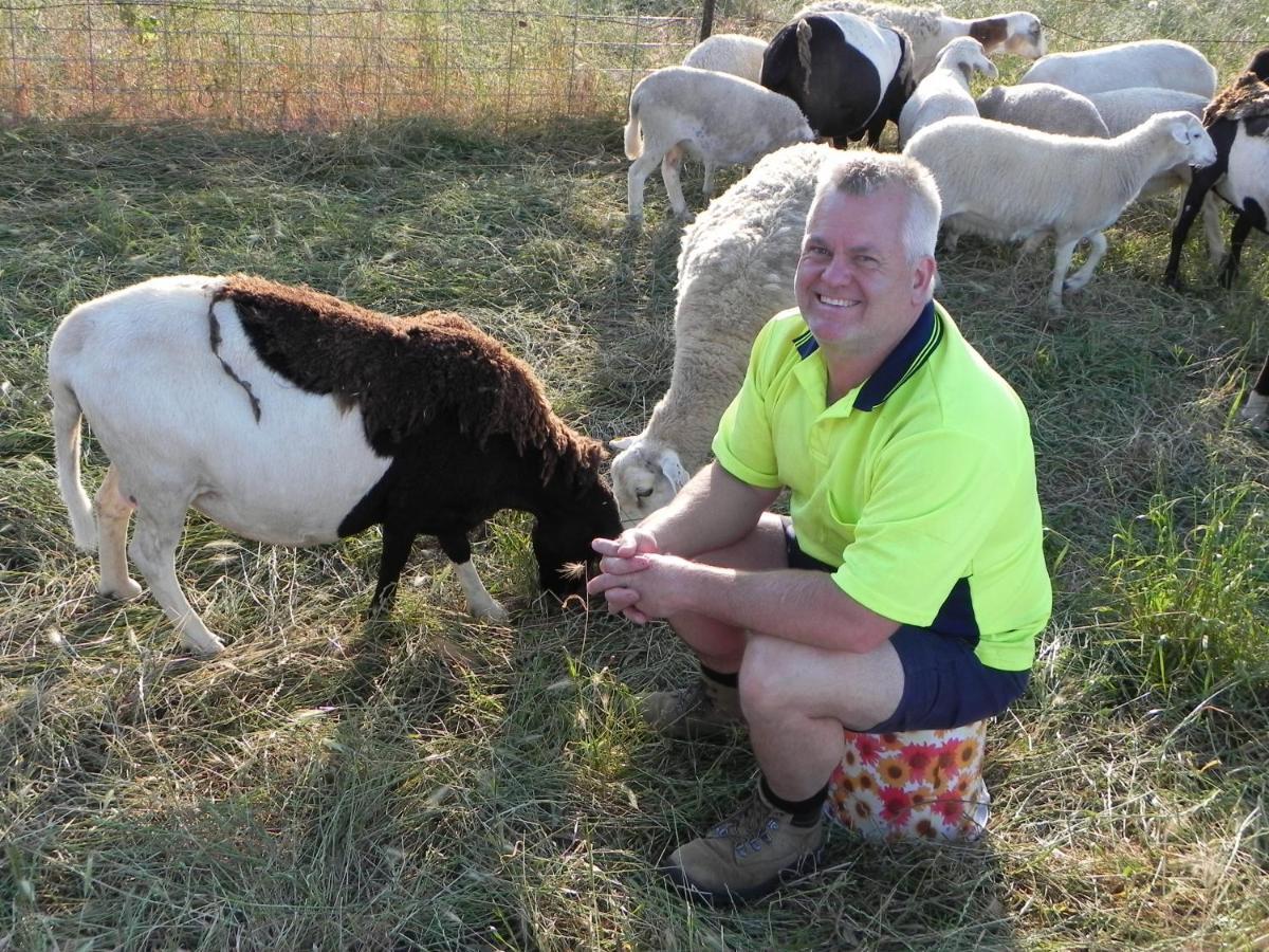 מלון יאס Glenview Alpaca Farm מראה חיצוני תמונה