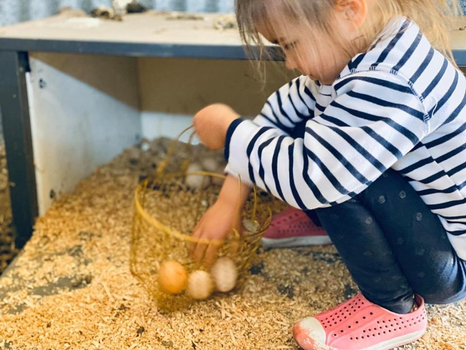 מלון יאס Glenview Alpaca Farm מראה חיצוני תמונה